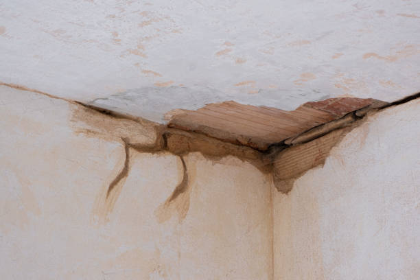 Best Flood damage cleanup  in Forsgate, NJ