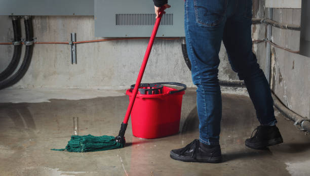 Best Water damage restoration near me  in Forsgate, NJ