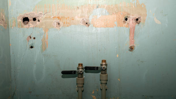 Best Local water damage restoration  in Forsgate, NJ