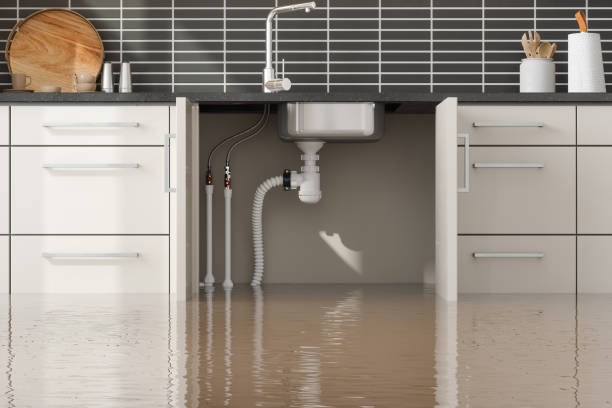 Local water damage restoration in Forsgate, NJ