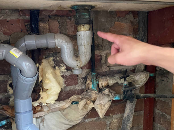 Best Water damage restoration near me  in Forsgate, NJ