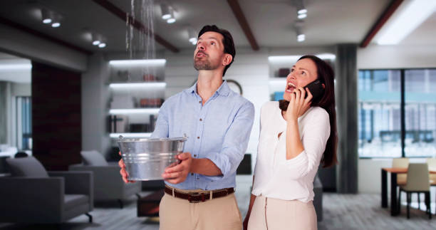 Best Professional water damage repair  in Forsgate, NJ