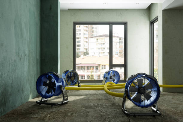 Best Carpet water damage restoration  in Forsgate, NJ